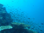 M0010063.JPG