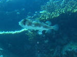 M0010084.JPG