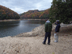 1211004.gif