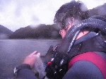1211006.gif