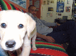 1211007.gif