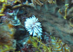 M0010285.JPG