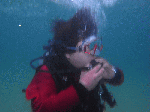 n001.gif