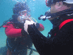 n004.gif