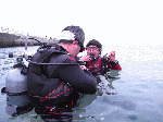 n005.gif