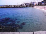 M0015009.JPG
