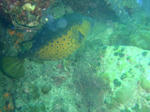 P4170042.JPG