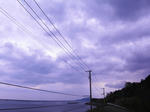 M0015298.JPG