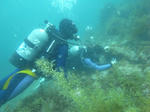 M0015504.JPG