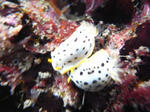 M0010855.JPG