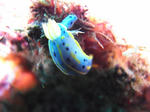 M0010832.JPG