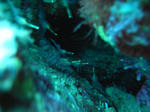 M0010834.JPG