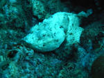 M0015550.JPG