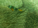 e91306b7.JPG