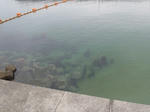 P7030011.JPG