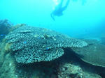 M0011402.JPG