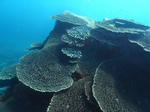 M0011411.JPG
