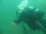 SANY0044.JPG