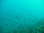 SANY0139.JPG