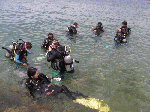 image005.gif