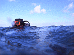 003.gif