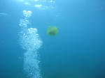 M0010104.JPG
