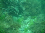 SANY0275.JPG