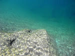 kawa006.JPG