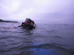 res003.JPG