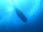 99009.gif