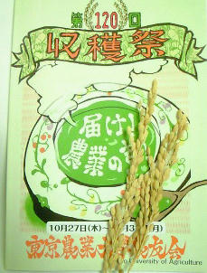 収穫祭