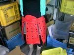 PAP_0008.jpg