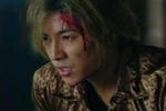 tora8-12.jpg