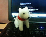 200812021936000.jpg