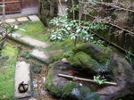 SANY0176.JPG