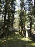 DSCF1291.jpg