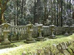 DSCF1295.jpg