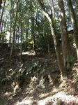 DSCF1308.jpg