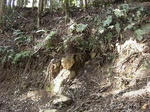 DSCF1309.jpg