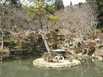 DSCF1311.jpg