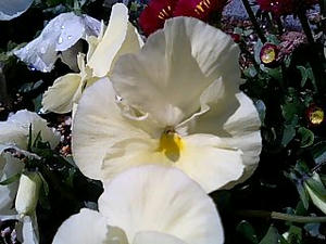 080316_1210~0003.jpg