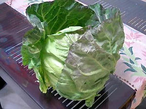 080329_2024~0001.jpg