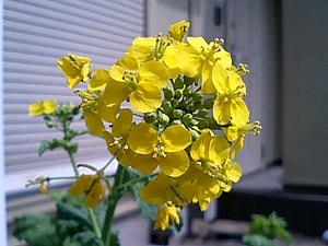 080412_1300~0001.jpg