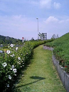 080719_1213~0002.jpg