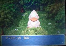 00cb1511.JPG