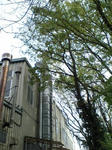 tokubatu1002061.JPG