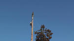 DSC02790.JPG