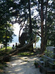 IMGP0105.JPG