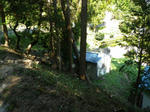 IMGP0119.JPG