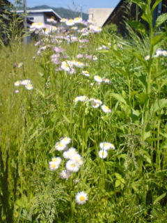 080515_1419~01.JPG